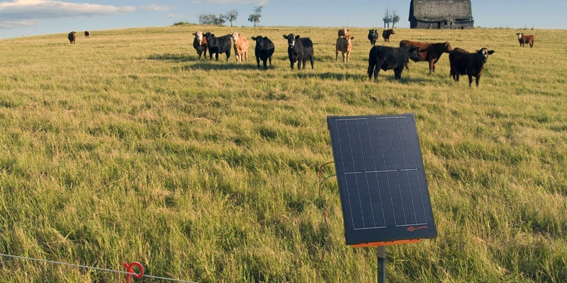 Solar Powered Electric Fence Chargers