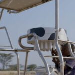 Solar Milk Solar Light and Power Bank