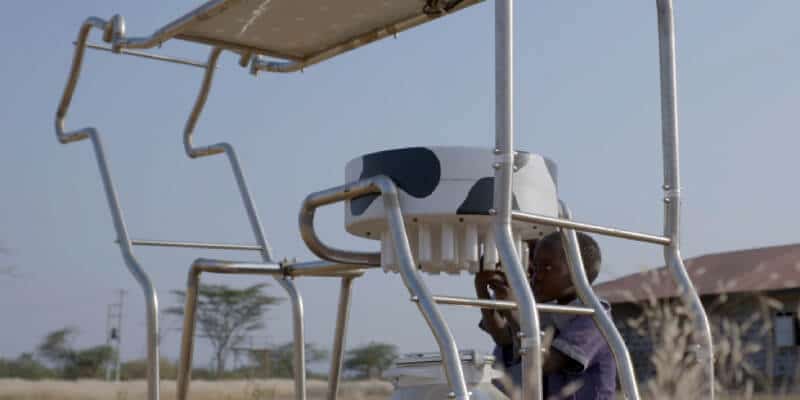 Solar Milk Solar Light and Power Bank