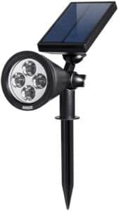 AMIR SOLAR SPOTLIGHT