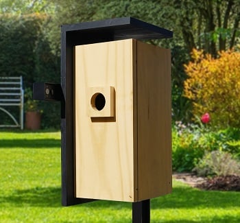 Birdify Nest Smart Birdhouse