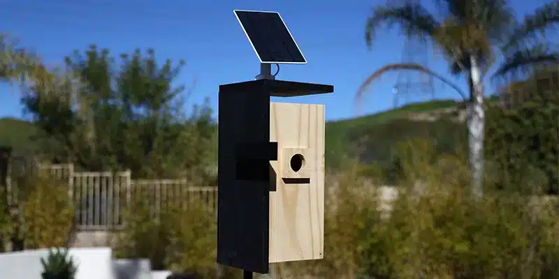 Netvue Birdfy Nest