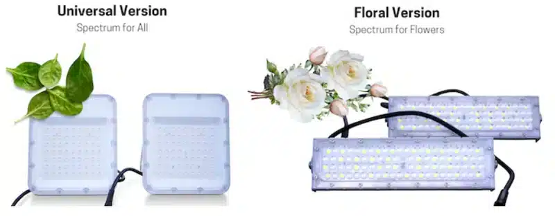 OmniPV Sol-Grow Variants